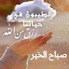 thyousif09